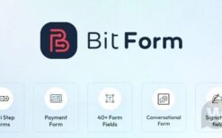 Bit Form Pro v2.13.7