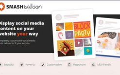 Feeds for YouTube Pro v2.6.1 By Smash Balloon [Developer Edition]