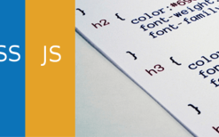 Simple Custom CSS and JS PRO v4.41.1