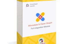 Automatic Rich Snippets JSON-LD Integration v5.5.2 SEO Module PrestaShop