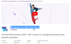 Wholesale For WooCommerce v2.7.0 (WPExperts)