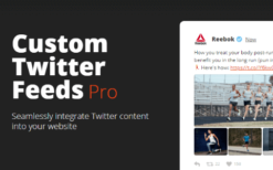 Custom Twitter Feeds Pro v2.5.0