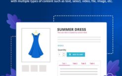 v2.3.8 Custom fields & tabs on product page (PrestaShop v8x)