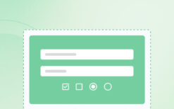 v2.3.1 Custom Checkout Fields, Add Custom Fields to Checkout (v1.6-v1.7-v8x)