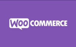 Automatic Payment Status WooCommerce v2.0.19 by WpDesk