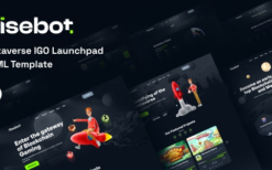 Risebot – Metaverse IGO Launchpad HTML Template