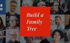 Lineago v1.0.6 Genealogy WordPress Theme