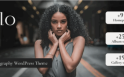 Ilo v1.0.1 Photography WordPress Theme