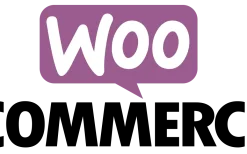 Payment Reminder for WooCommerce v1.0.8 SKROTRON