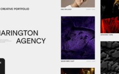 Harington v1.0 Creative Portfolio Template