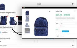 v2.3.9 Variation Images Gallery for WooCommerce [RadiusTheme]