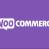 WooCommerce Currency Switcher v3.0.3 [Acowebs]