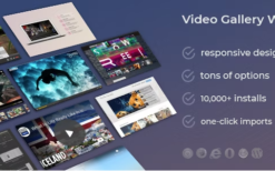 [*] Video Gallery and Player Pro v.1.5 [by WpOnlineSupport]