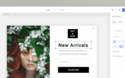 Brave WordPress Popup Builder Pro v0.8.4