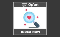 PrestaShop Op’art IndexNow: Google, chatGPT, bing, .. v2.0.11